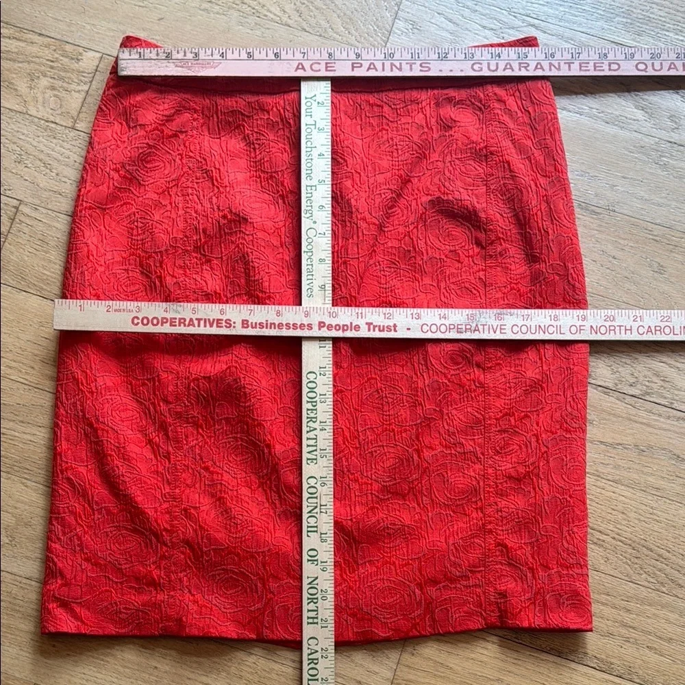 Anthro skirt - Vanessa Virginia